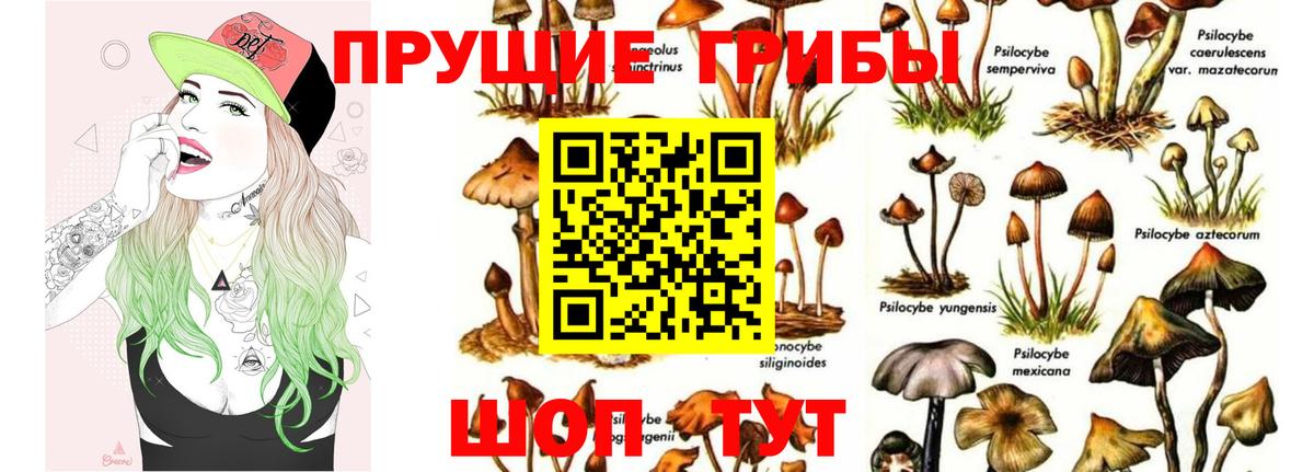 Псилоцибиновые грибы MAGIC MUSHROOMS Краснокаменск