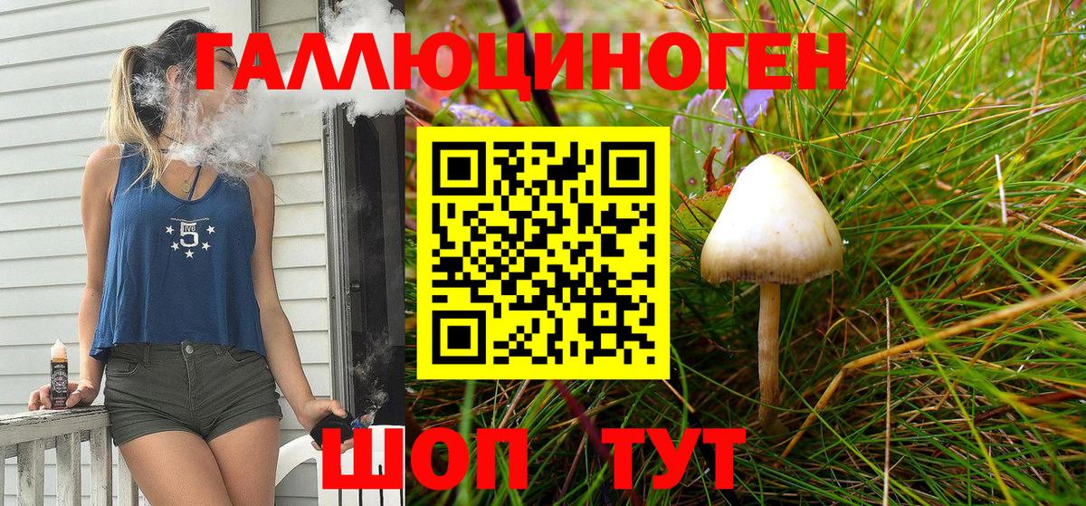 Краснокаменск  Псилоцибиновые грибы Cubensis  Галлюциногенные грибы MAGIC MUSHROOMS  Вход с VPN 